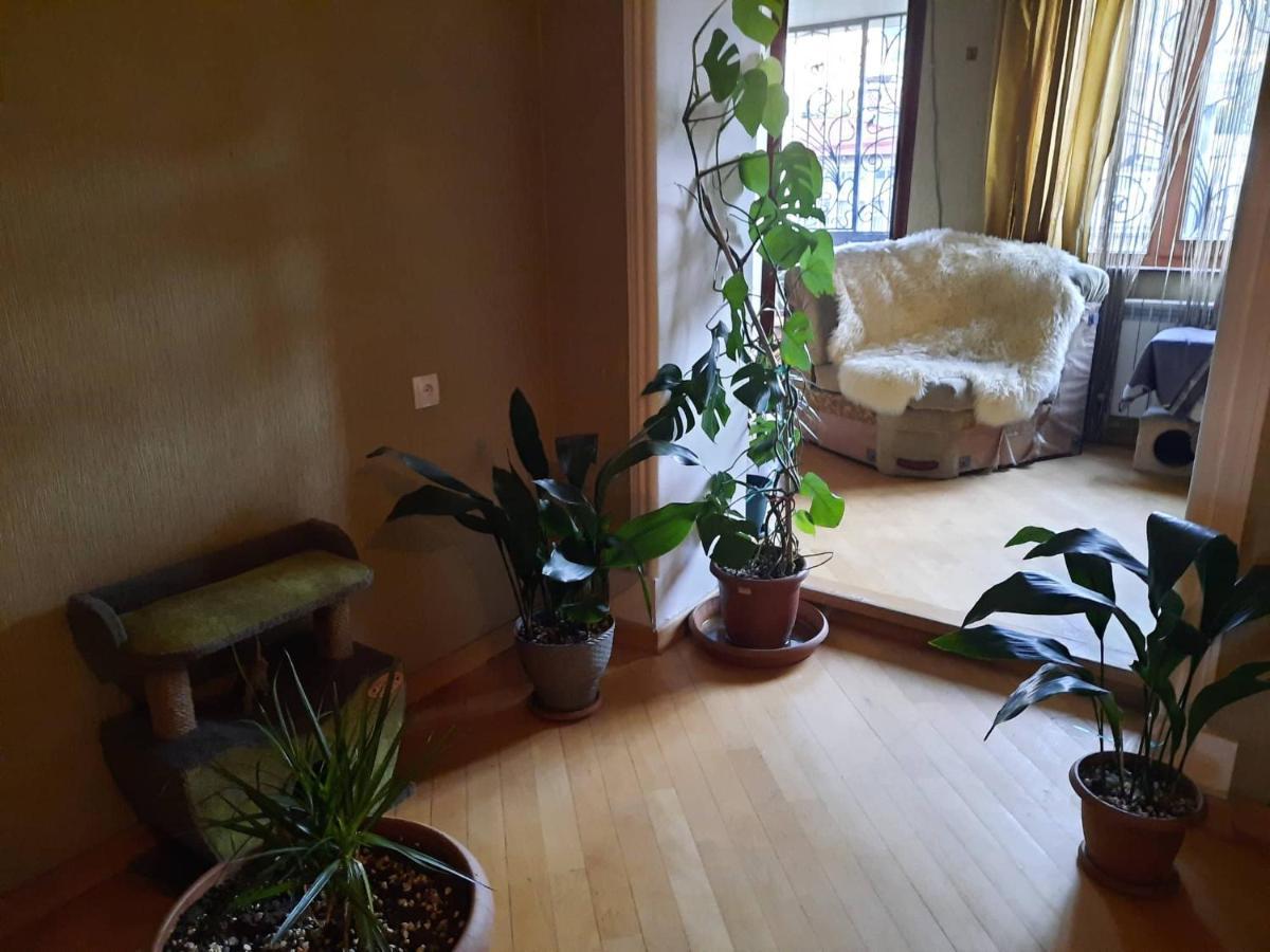 Tbilisi Philharmonia Apartment Extérieur photo